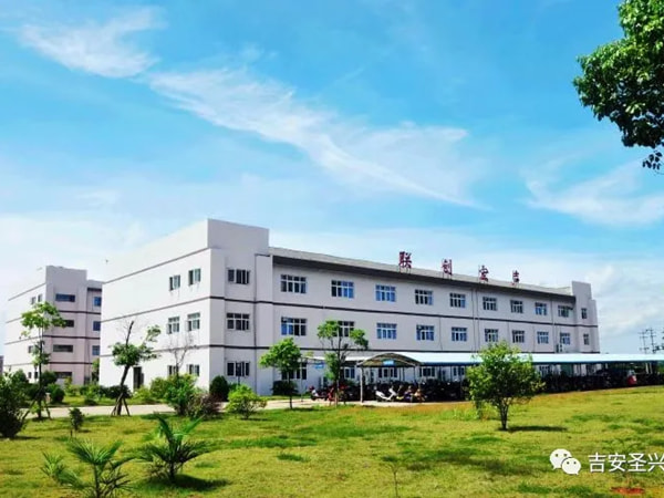 江西聯創(chuàng)宏聲智能科技有限公司